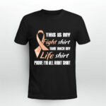 Endometrial Cancer Peach Ribbon My Fight My Life 3 T Shirt