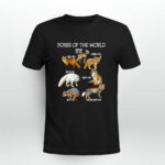Foxes Of The World Funny Fox 3 T Shirt