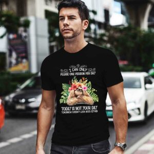 I Can Only Please One Person Per Day Today Is Not Your Day Tomorrow 4 T Shirt