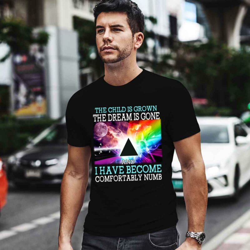 Pink Floyd The Child Is Grown The Dream Is Gone And I Have Become Comfortably Numb 4 T Shirt