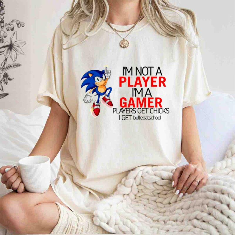 Sonic 2020 Im Not A Player Im A Gamer Players Get Chicks 0 T Shirt