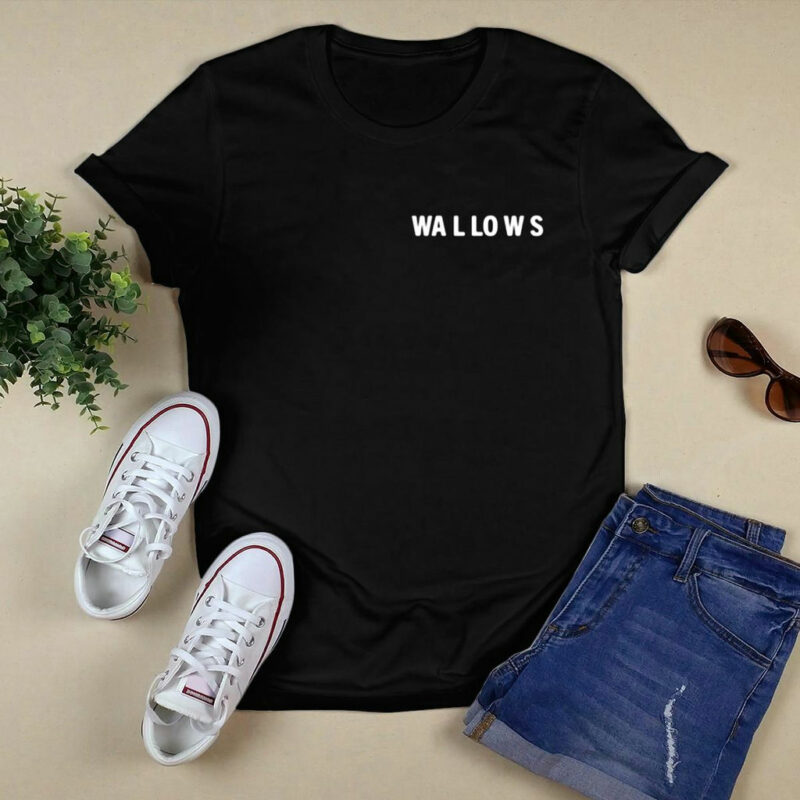 Wallows Model Album Front 4 T Shirt